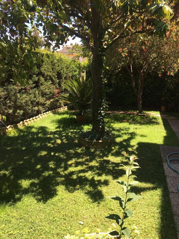 casa indipendente in vendita ad Ardea