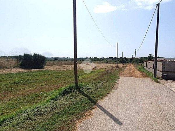 terreno agricolo in vendita ad Ardea in zona Banditella