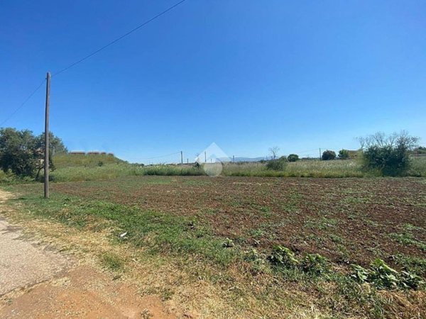 terreno agricolo in vendita ad Ardea in zona Banditella