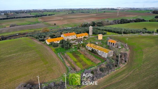 azienda agricola in vendita ad Ardea
