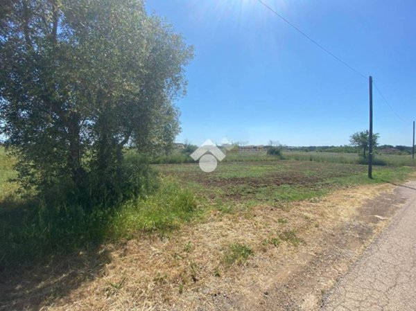 terreno agricolo in vendita ad Ardea in zona Banditella
