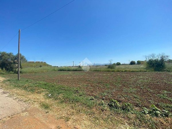 terreno agricolo in vendita ad Ardea in zona Banditella