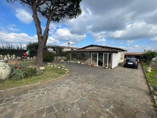 esavano in vendita ad Ardea