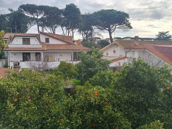 casa indipendente in vendita ad Ardea in zona Colle Romito