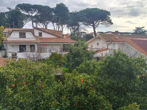 casa indipendente in vendita ad Ardea in zona Colle Romito