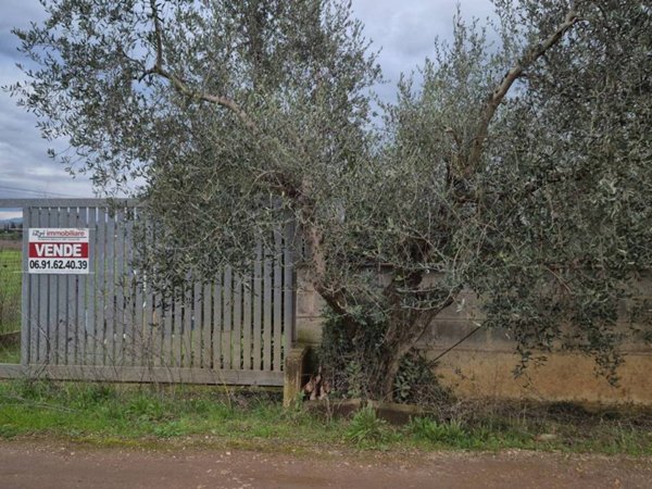 casa indipendente in vendita ad Ardea in zona Castagnetta