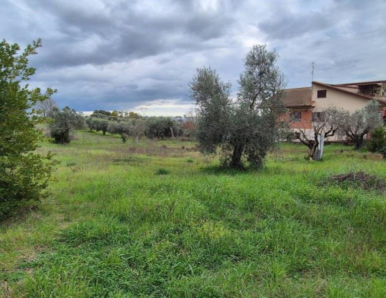 casa indipendente in vendita ad Ardea in zona Madonnina