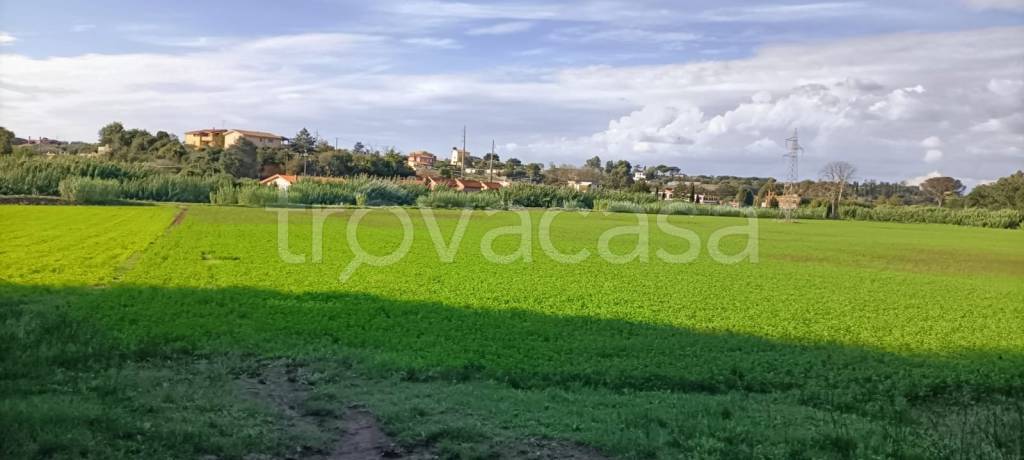 terreno agricolo in vendita ad Ardea in zona Castagnetta