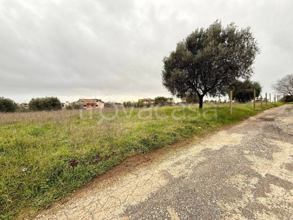 ufficio in vendita ad Ardea in zona Montagnano