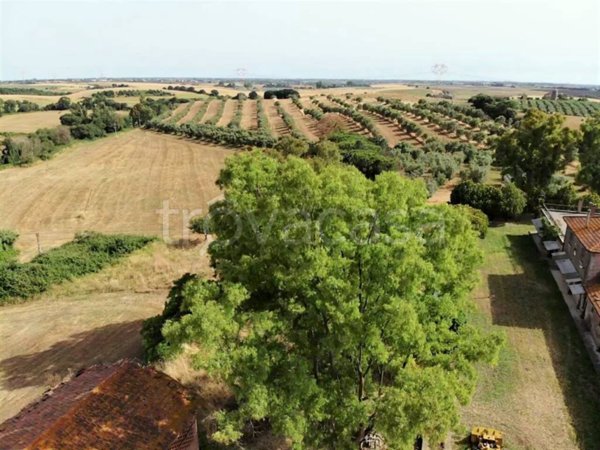 casa indipendente in vendita ad Ardea in zona Montagnano
