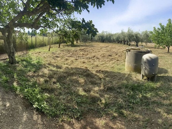 terreno agricolo in vendita ad Ardea in zona Banditella