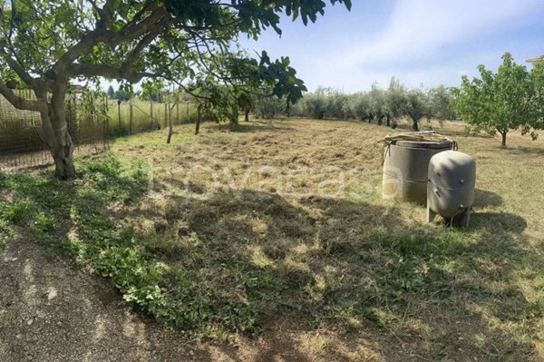 terreno agricolo in vendita ad Ardea in zona Banditella