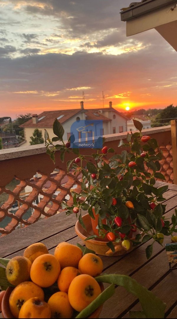 appartamento in vendita ad Ardea in zona Lido dei Pini