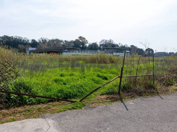 terreno agricolo in vendita ad Ardea in zona Nuova Florida