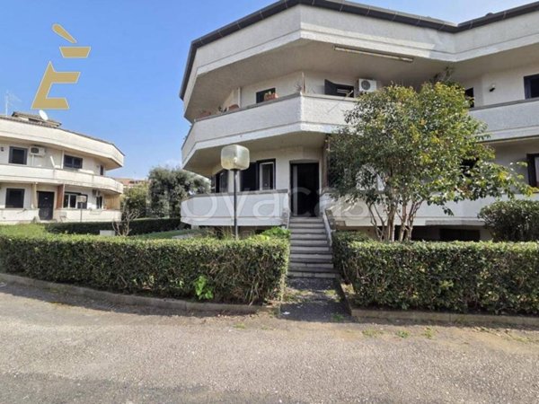 appartamento in vendita ad Ardea in zona Marina di Ardea