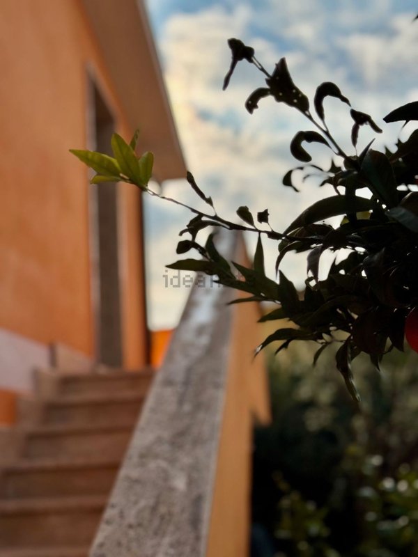 appartamento in vendita ad Ardea in zona Nuova Florida