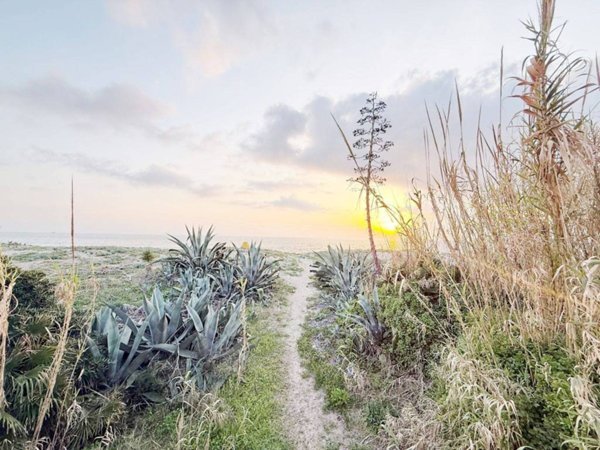 appartamento in vendita ad Ardea in zona Marina di Ardea