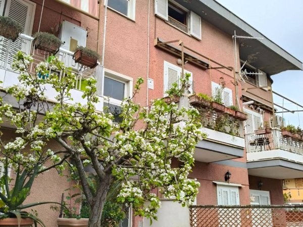 immagine annuncio 0 di 1