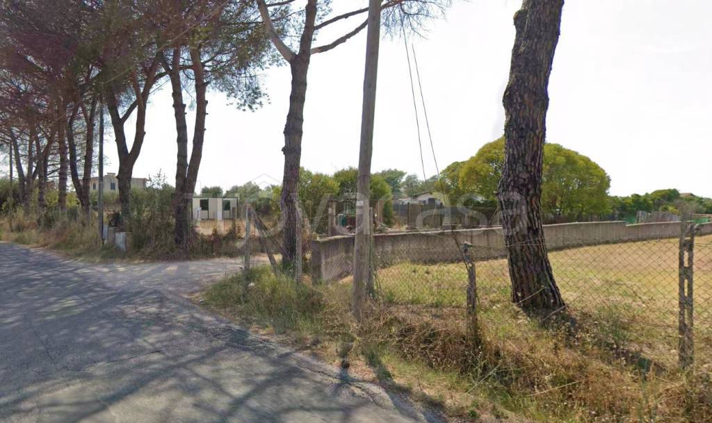 terreno agricolo in vendita ad Ardea in zona Montagnano