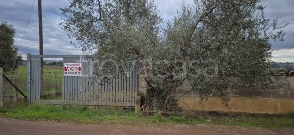 casa indipendente in vendita ad Ardea in zona Montagnano