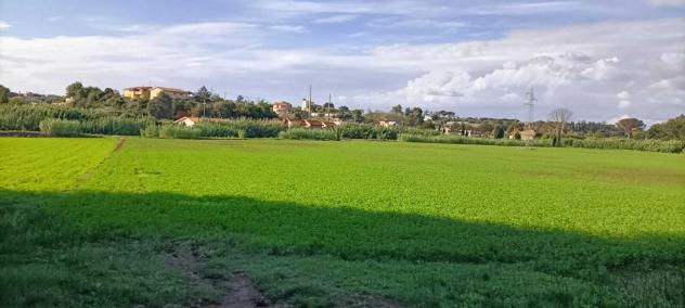 terreno agricolo in vendita ad Ardea