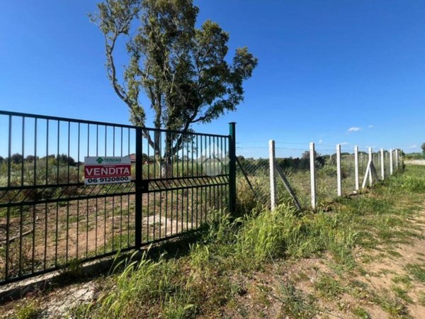 terreno agricolo in vendita ad Ardea in zona Nuova California
