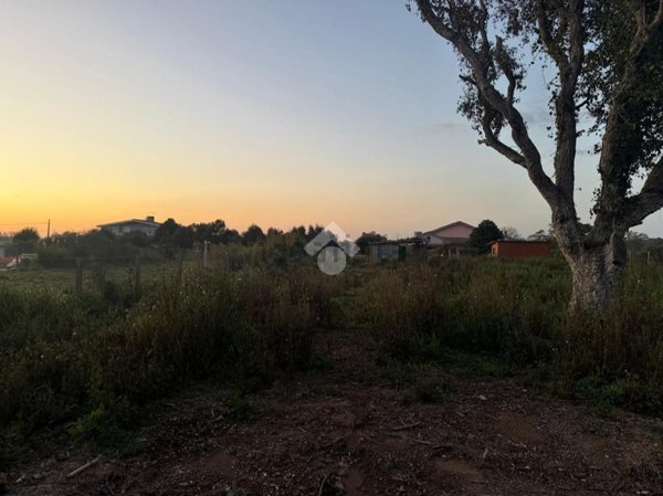 terreno agricolo in vendita ad Ardea
