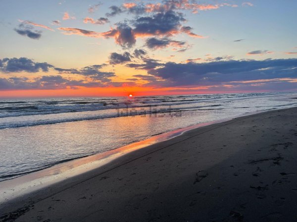 casa indipendente in vendita ad Ardea