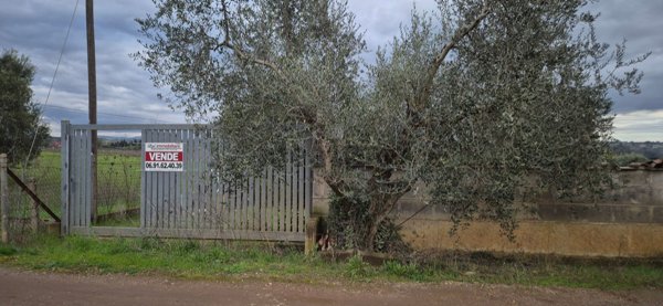 appartamento in vendita ad Ardea in zona Madonnina