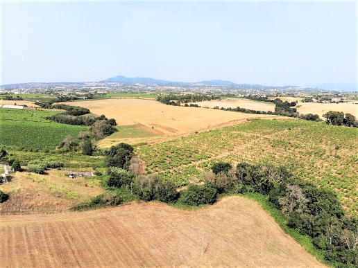 casa indipendente in vendita ad Ardea in zona Montagnano