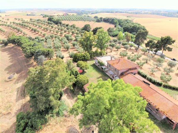 azienda agricola in vendita ad Ardea