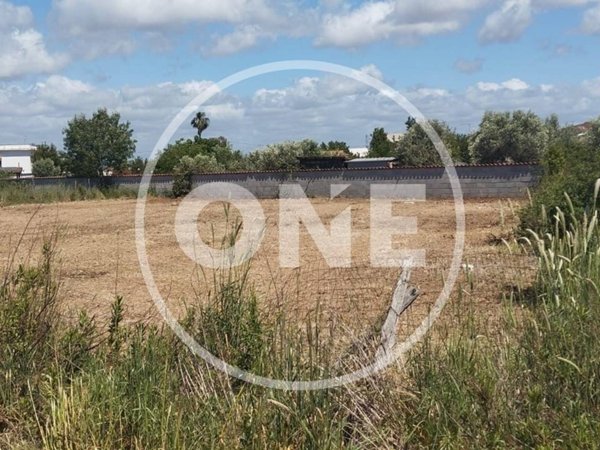 terreno agricolo in vendita ad Ardea in zona Marina di Ardea