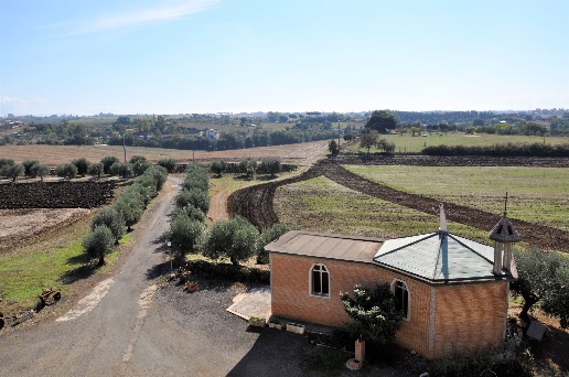 azienda agricola in vendita ad Ardea in zona Montagnano