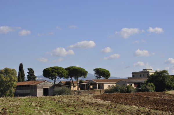 azienda agricola in vendita ad Ardea in zona Montagnano