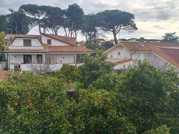 casa indipendente in vendita ad Ardea