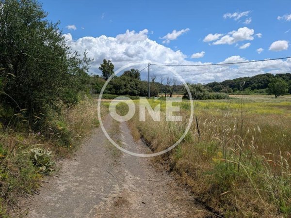 terreno agricolo in vendita ad Ardea in zona Castagnetta