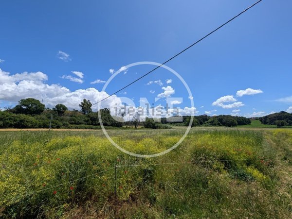 terreno agricolo in vendita ad Ardea