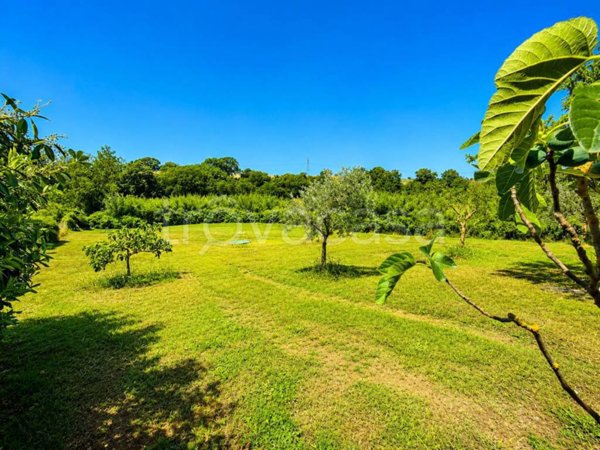 terreno agricolo in vendita ad Ardea in zona Montagnano