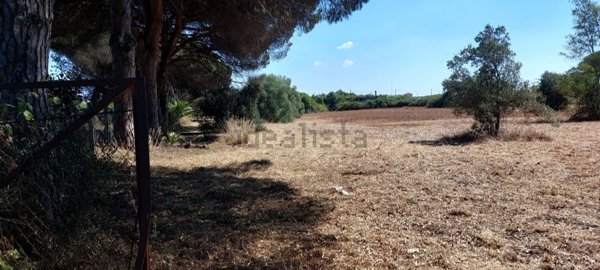 terreno agricolo in vendita ad Ardea