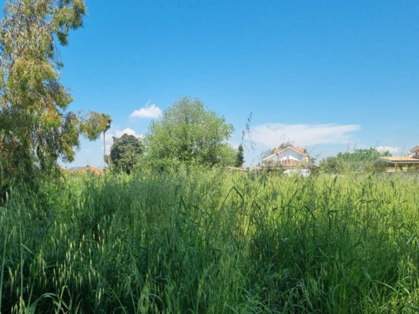 terreno agricolo in vendita ad Ardea in zona Nuova Florida