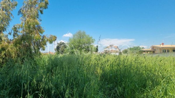 terreno agricolo in vendita ad Ardea in zona Nuova Florida