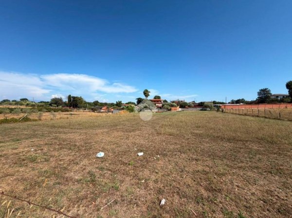 terreno agricolo in vendita ad Ardea in zona Nuova Florida