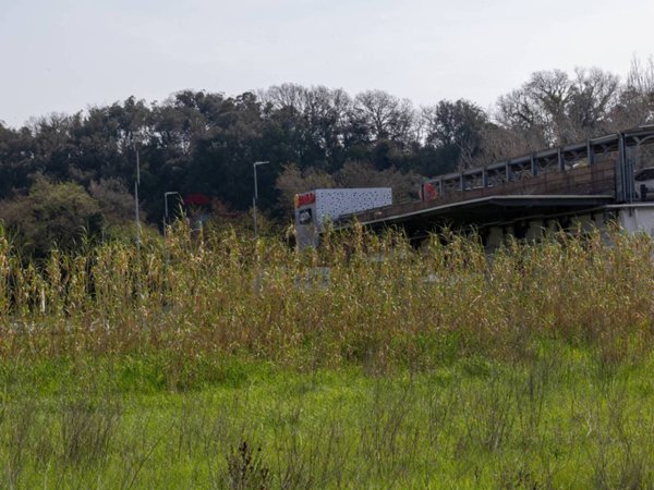 terreno agricolo in vendita ad Ardea
