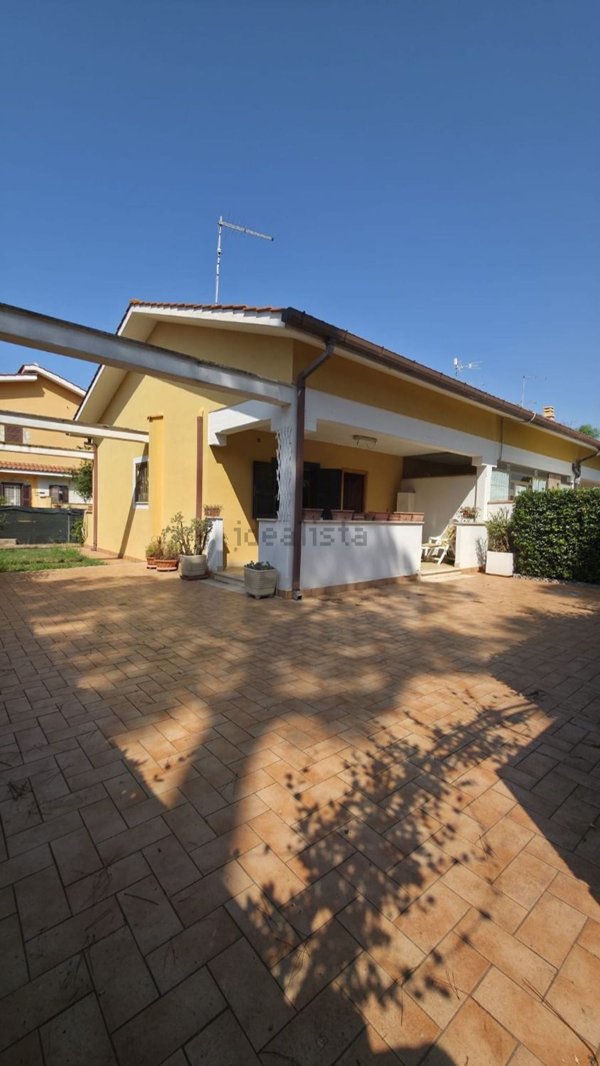 pentavano in vendita ad Ardea in zona Colle Romito