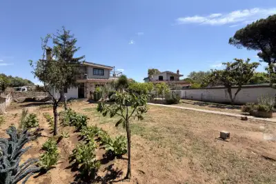 casa indipendente in vendita ad Ardea in zona Nuova Florida