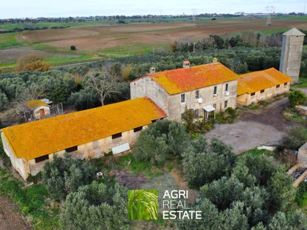 terreno agricolo in vendita ad Ardea in zona Castagnetta