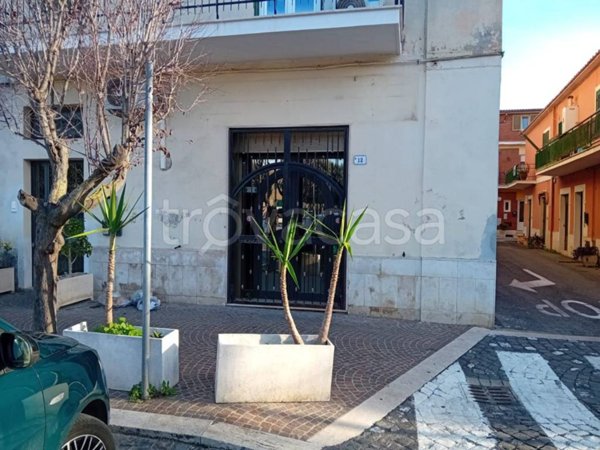 negozio in vendita ad Ardea