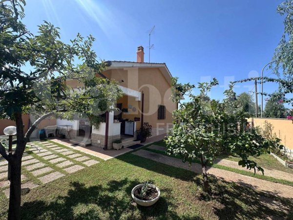casa indipendente in vendita ad Ardea in zona Colle Romito
