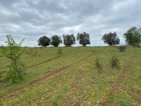 terreno in vendita ad Ardea in zona Castagnetta