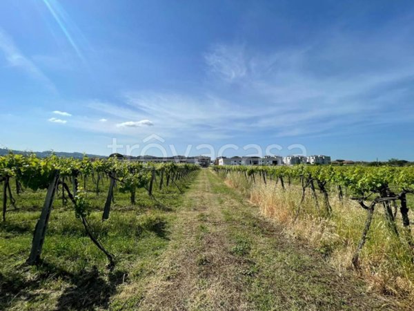 terreno agricolo in vendita a Ciampino